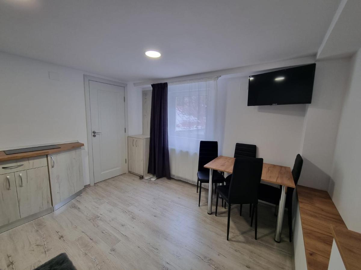 Apartamento Casa Thor Sinaia Exterior foto