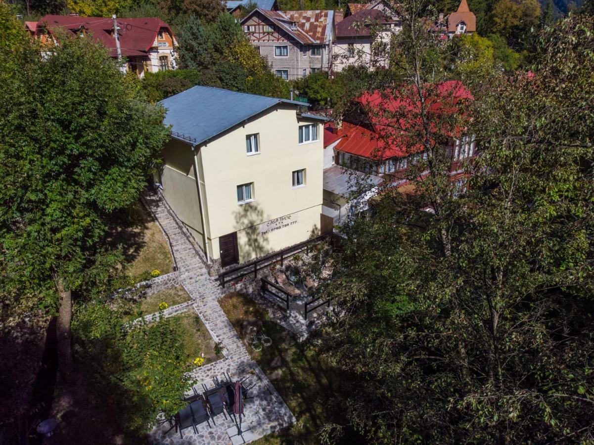 Apartamento Casa Thor Sinaia Exterior foto